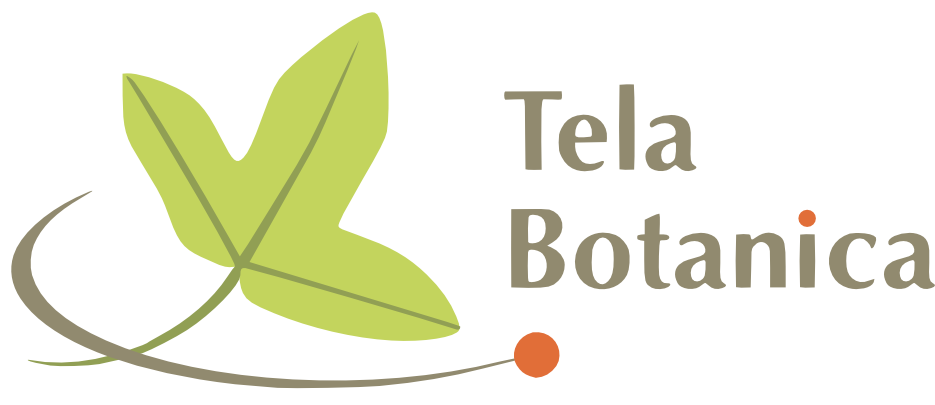 logo_telabotanica