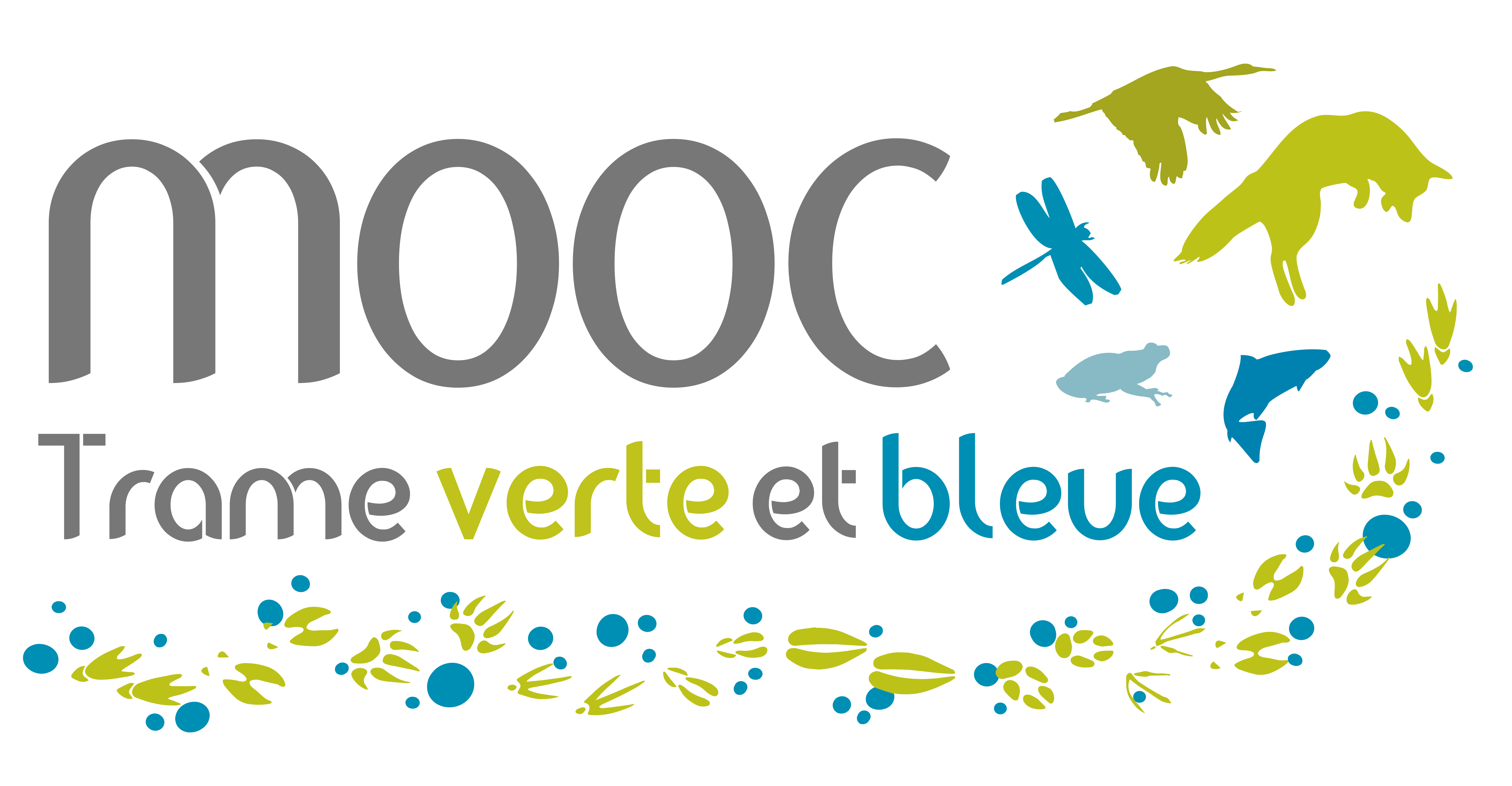 Logo MOOC TVB