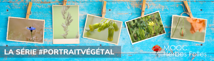Visuel Série Portrait Végétal