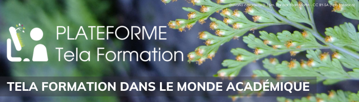 Visuel - AMI MOOC Botanique 3