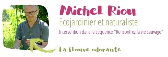 Michel Riou