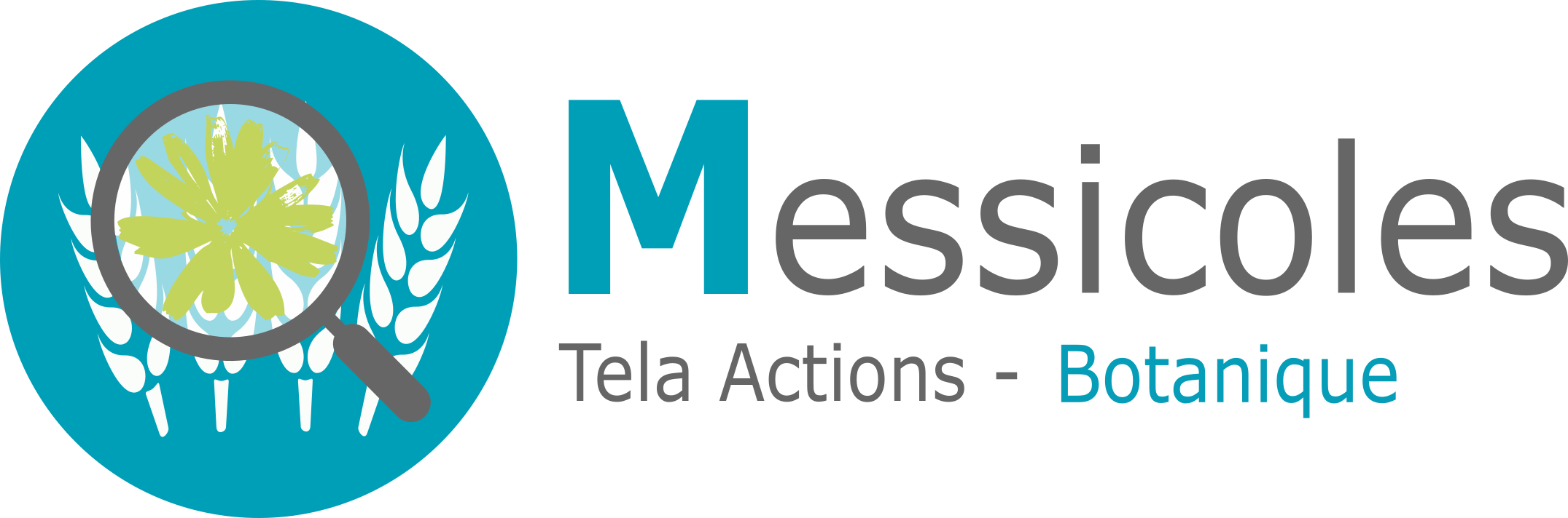 logo Tela Action messicoles