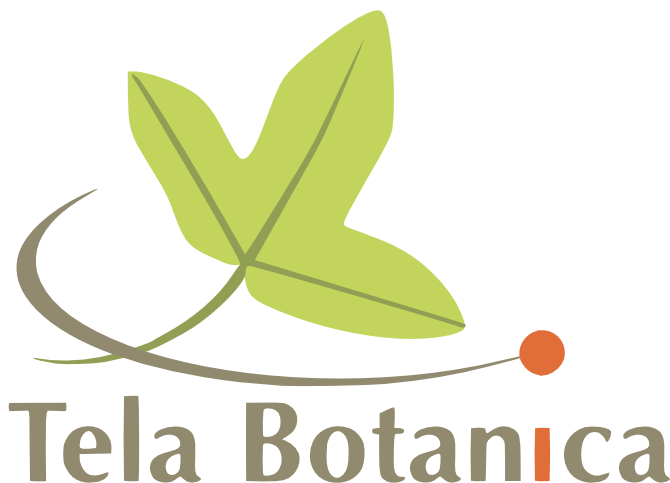 logo Tela Botanica
