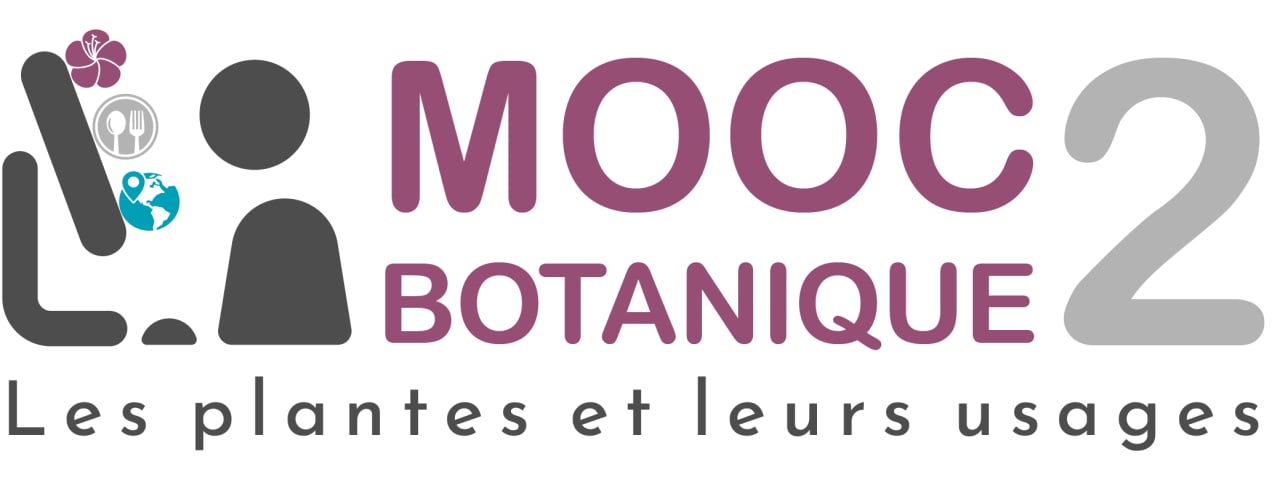 logo MOOC bota2