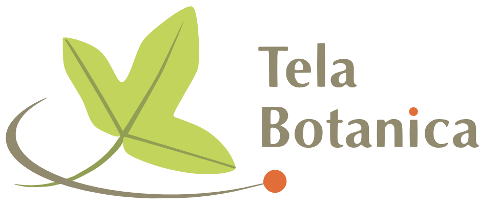 Tela Botanica