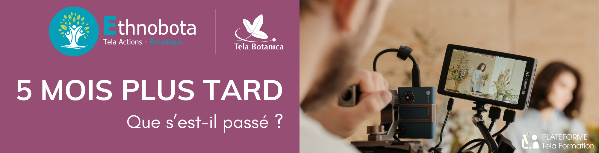 Image - Tela Formation dans le monde académique