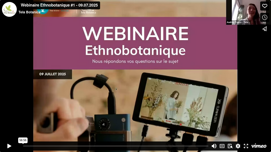 video replay webinaire ethnobota