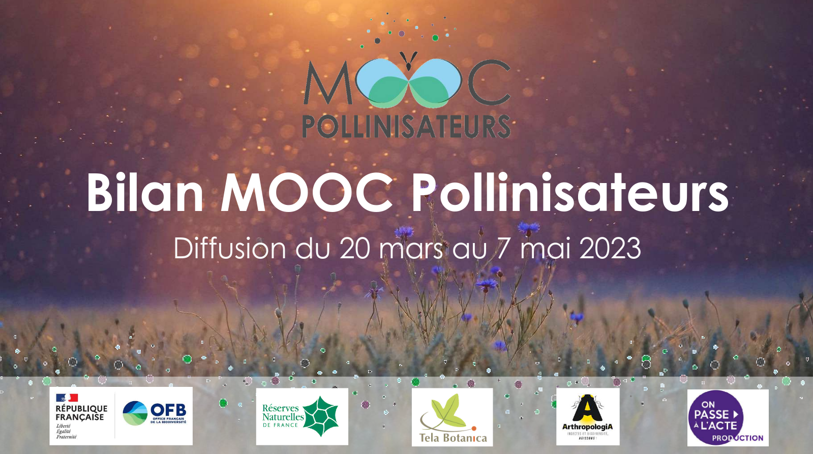 bilanmoocpollinisateurspdf