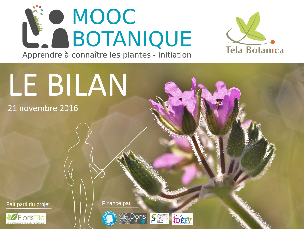 bilanmoocbota2020pdf