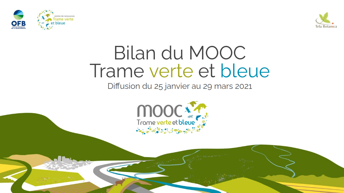 bilanmooctvbpdf