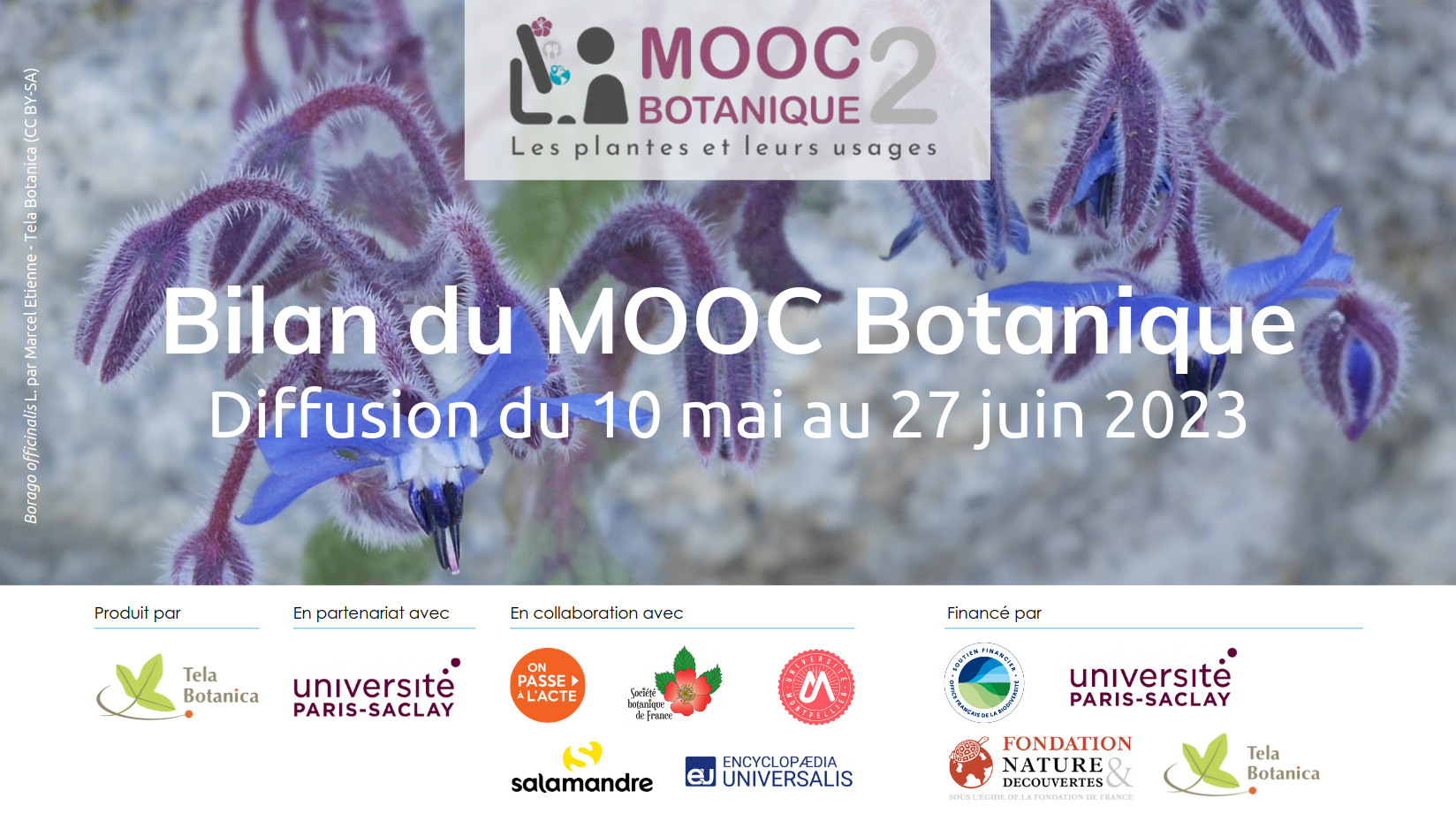 bilanmoocbota2
